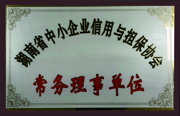 湖南省中小企業(yè)信用與擔保協(xié)會常務(wù)理事單位