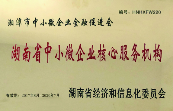 湖南省中小微企業(yè)核心服務(wù)機構(gòu)