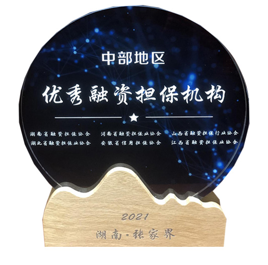 中部地區(qū)優(yōu)秀融資擔保機構(gòu)